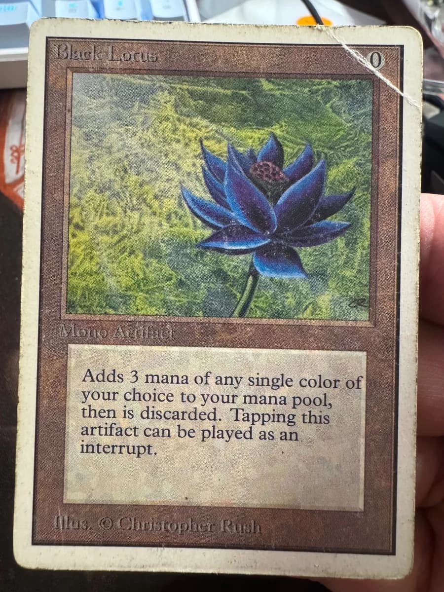 Black Lotus