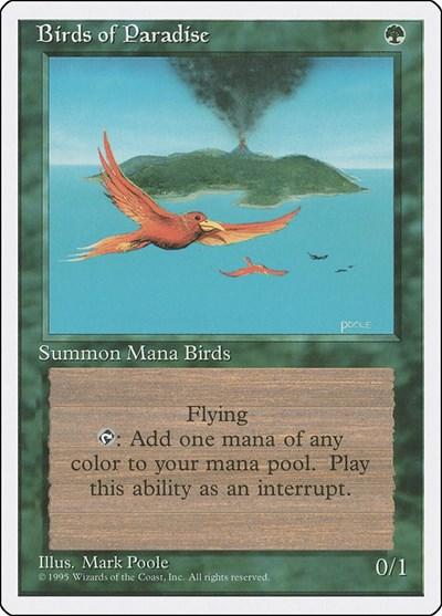 Birds of Paradise