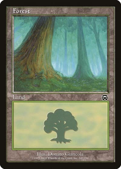 Forest (347)