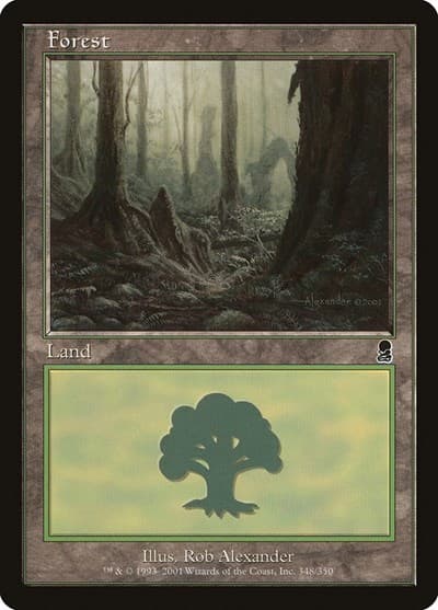 Forest (348)