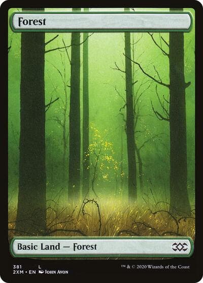 Forest (381)
