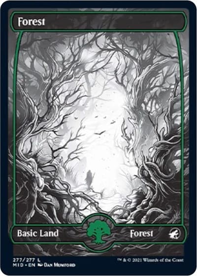 Forest (277)