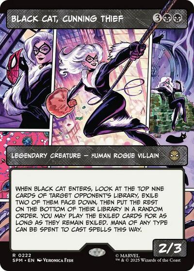 Black Cat, Cunning Thief (Borderless)