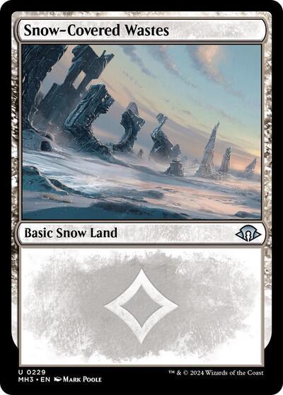 Snow-Covered Wastes (0229)