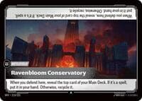 Ravenbloom Conservatory