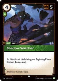 Shadow Watcher
